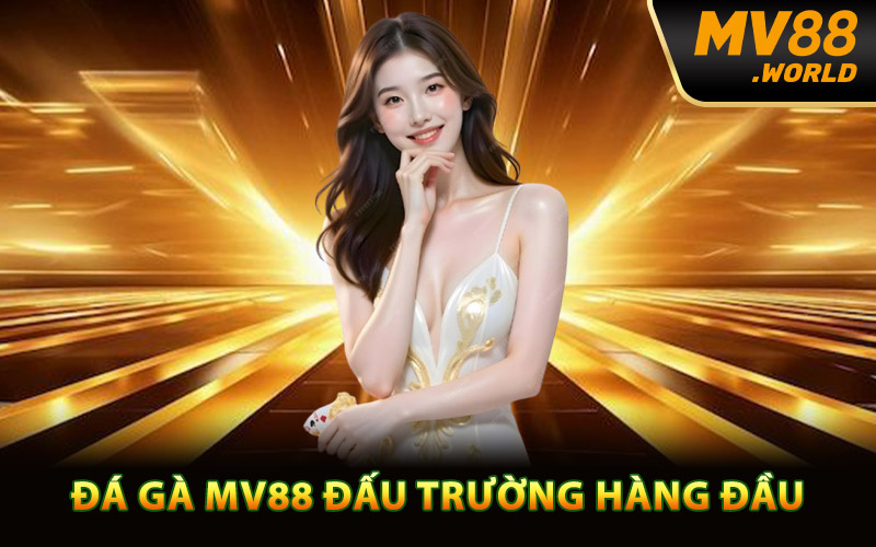 Đá gà MV88 đấu trường hàng đầu